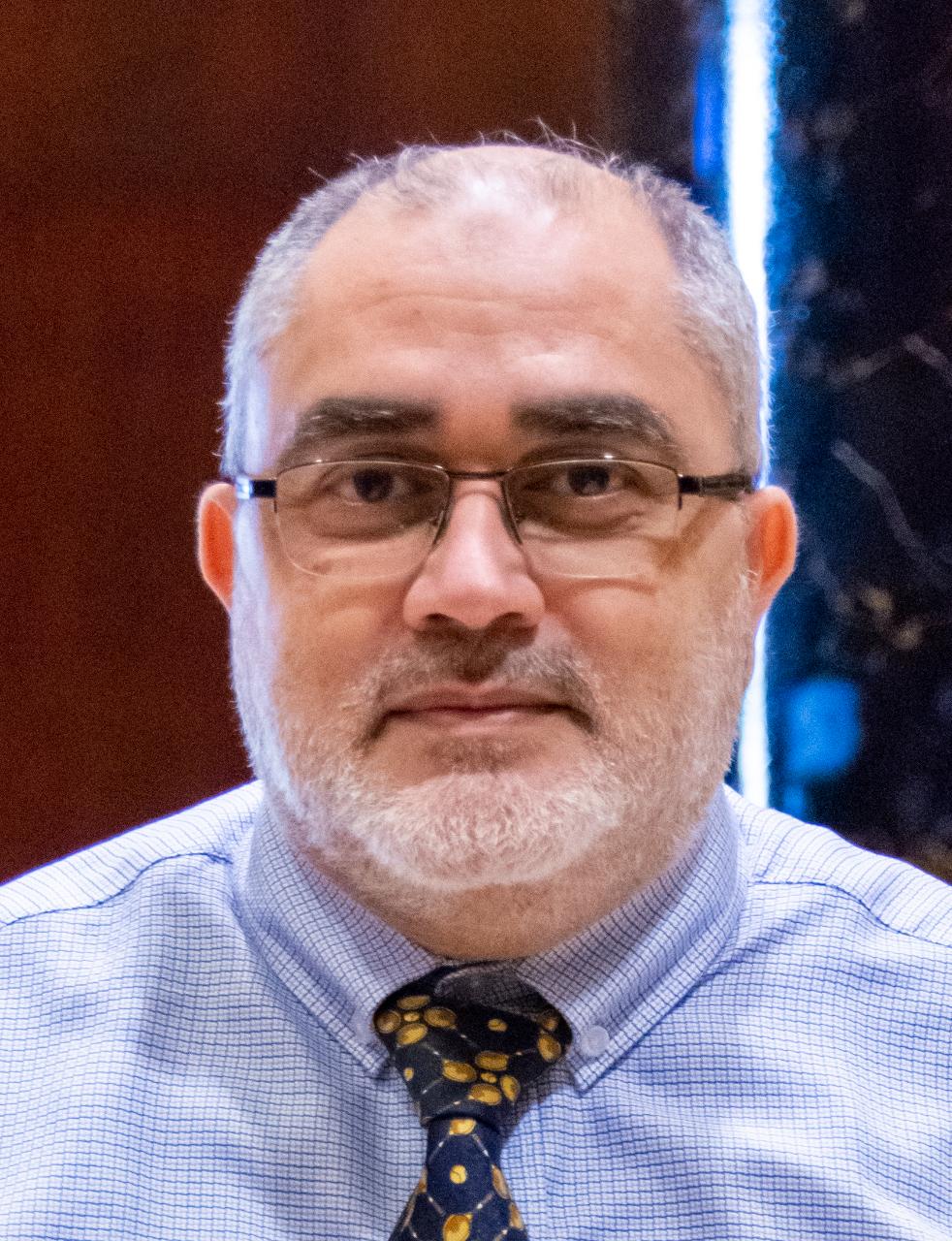 Prof. Hussein Okasha